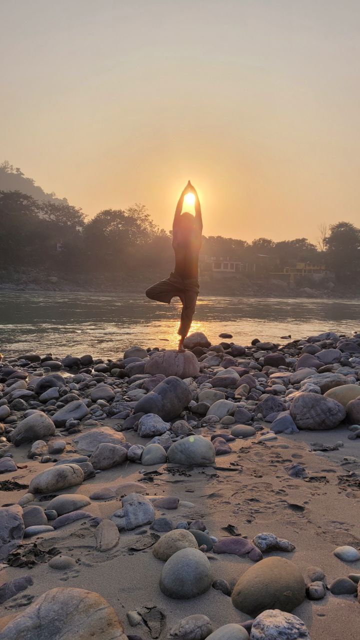 Person in tree pose by the river at sunrise